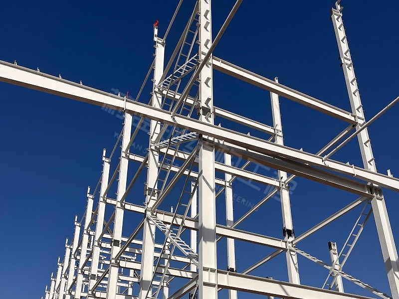 1108-钢结构厂房使用中出现异响，需要检查哪些构件？