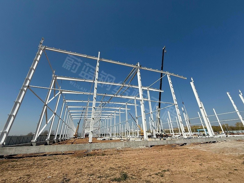 2026年单层钢结构厂房一平多少钱（含常见跨度与高度价格）