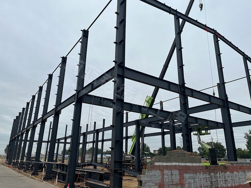 蔚蓝钢结构丨河南金蝌蚪食品科技钢结构厂房建造案例