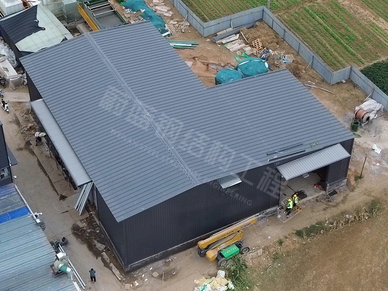 蔚蓝钢结构丨河南金蝌蚪食品科技钢结构厂房建造案例