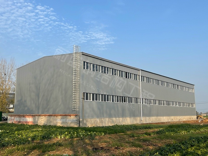 蔚蓝钢结构丨河南金蝌蚪食品科技钢结构厂房建造案例