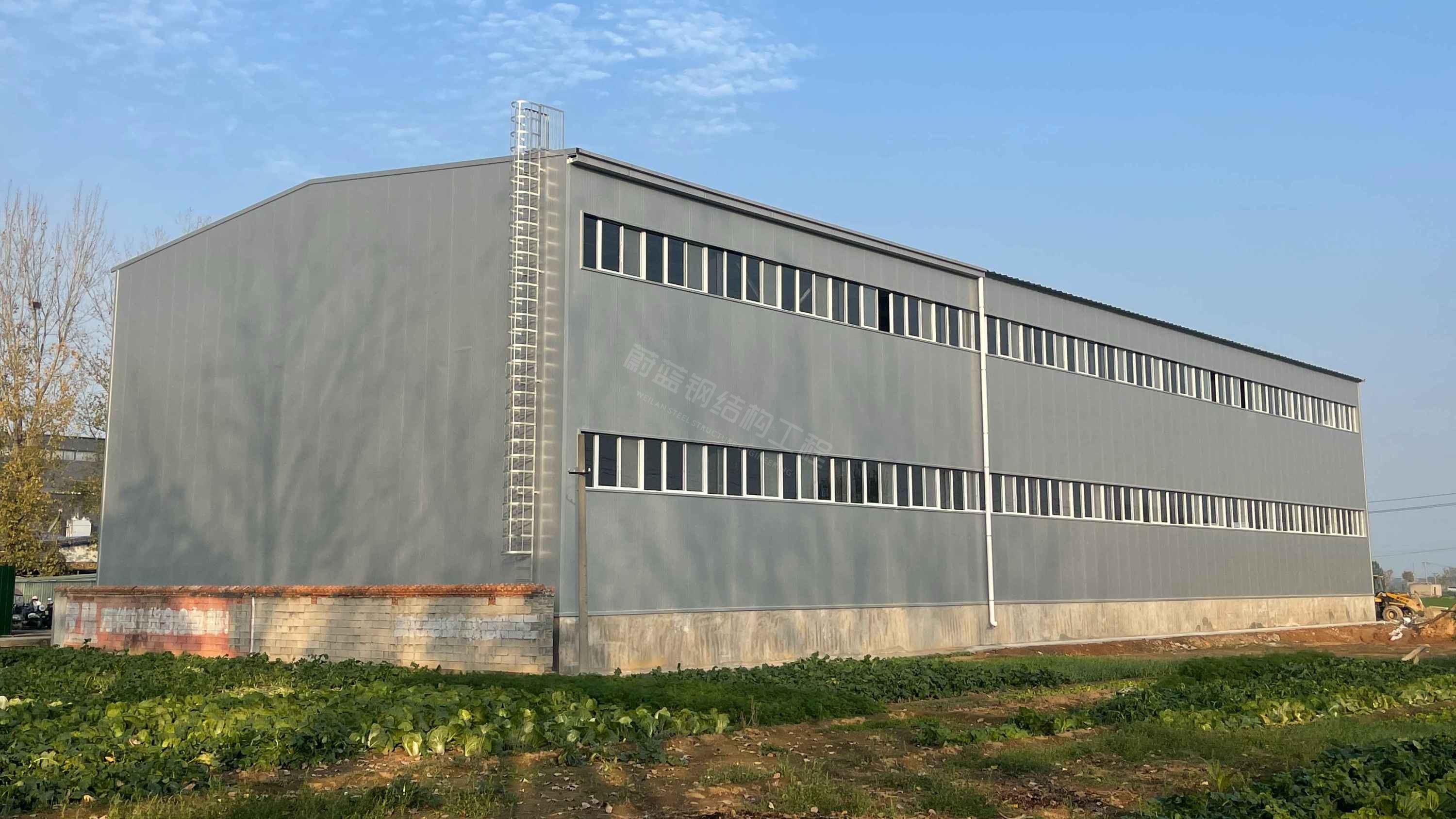 河南金蝌蚪：钢结构厂房