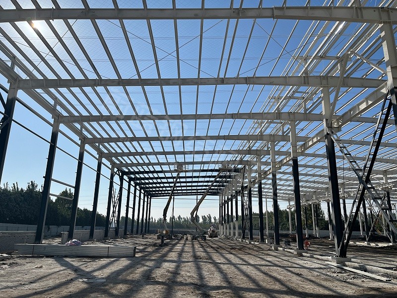 蔚蓝钢结构丨河南威百特钢结构厂房建造案例